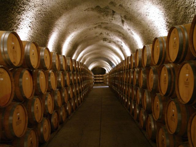 ayudas para bodegas