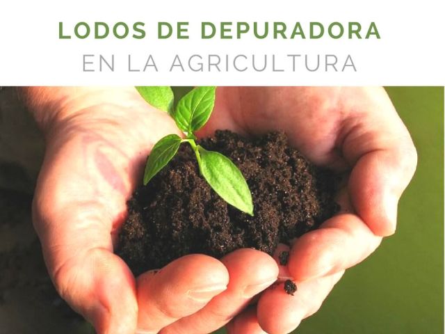 Lodos de Depuradora