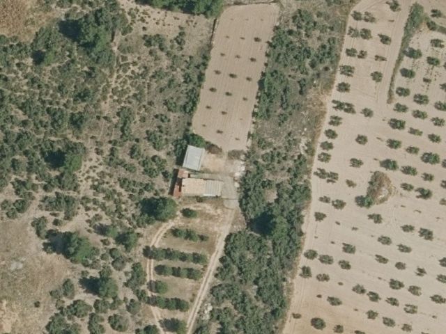 proyectos medioambientales, proyectos ambientales