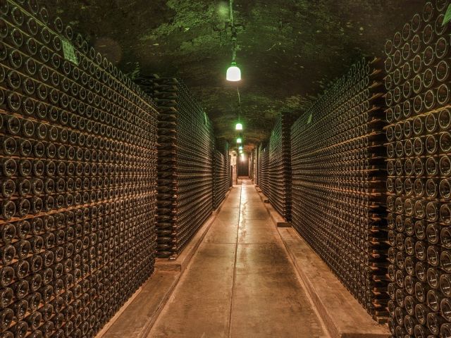 tramites bodega, proyectos bodegas, licencias bodegas, ayudas bodegas