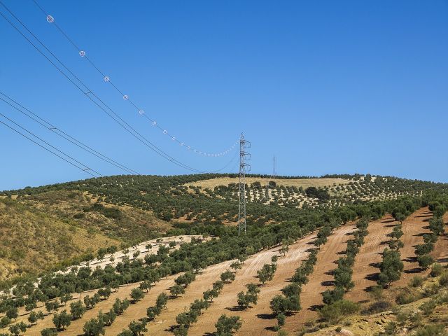 ayudas al desarrollo rural