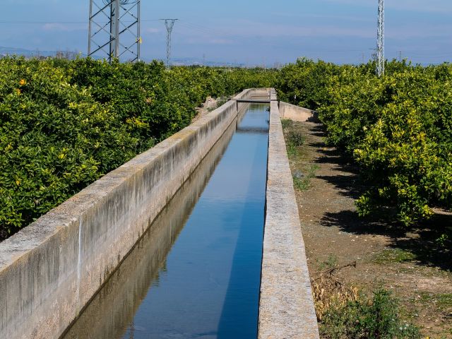 ayudas al campo, ayudas agricultura valencia, ayudas agricultura comunidad valenciana