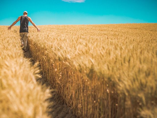 ayudas agricultura ecológica valencia