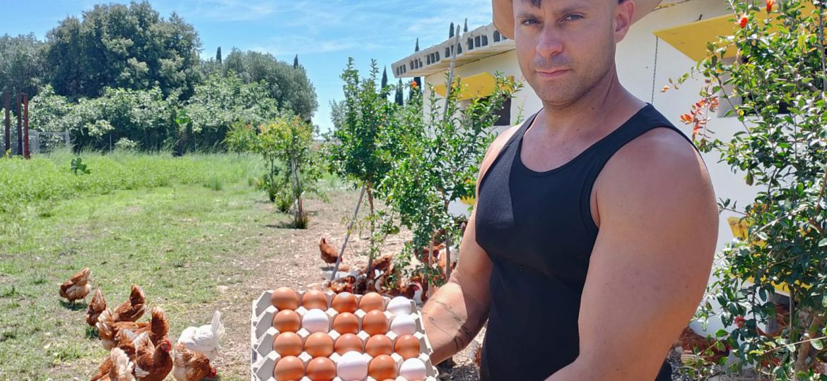 Proyecto agrario gallinas ponedoras MasQueIngenieros