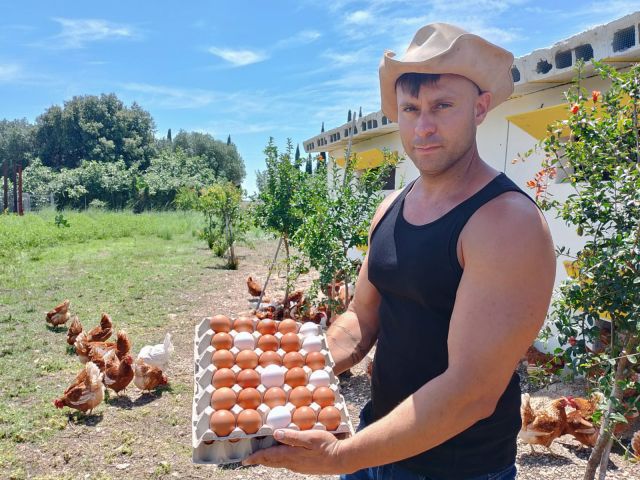 Proyecto agrario gallinas ponedoras MasQueIngenieros