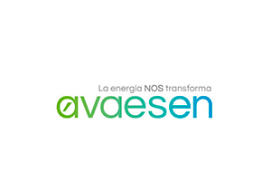 avaesen avaesen