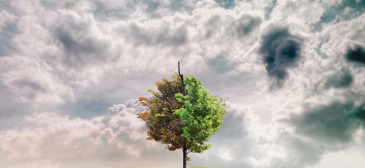 cambio climatico
