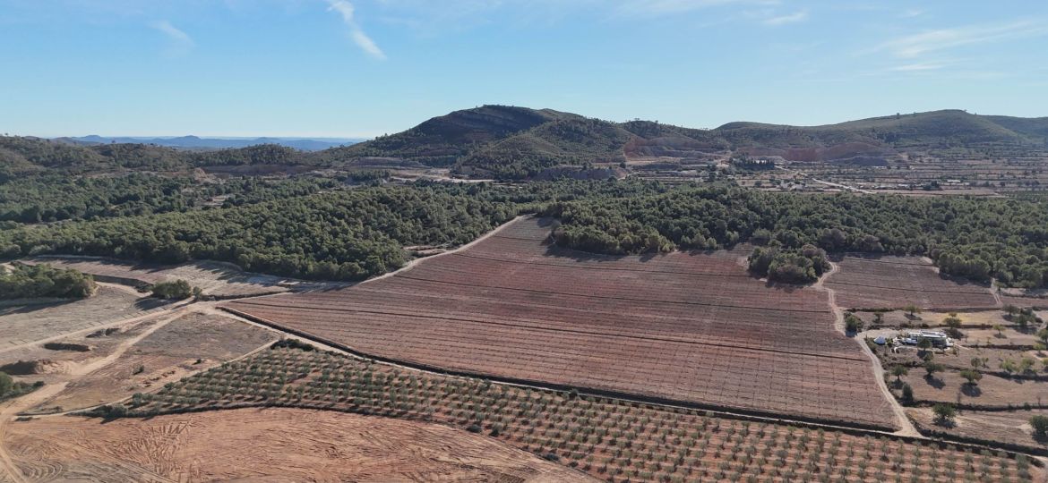 recuperación tras incendios forestales
