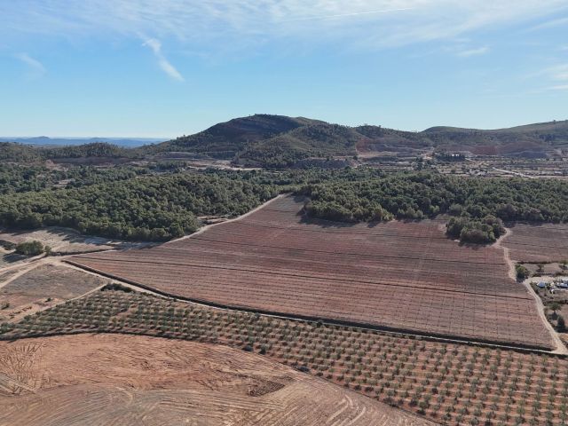 recuperación tras incendios forestales
